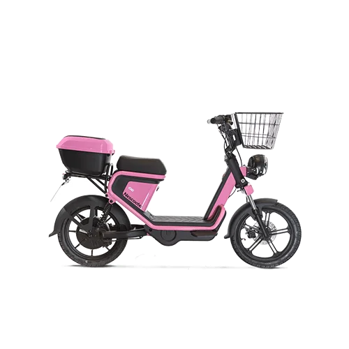 NEScooter GE Cargo